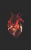My Heart'S Story