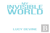 My Invisible World