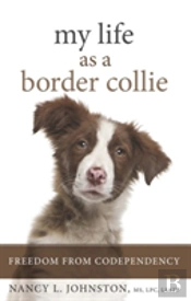My Life As A Border Collie