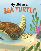 My Life As A Sea Turtle