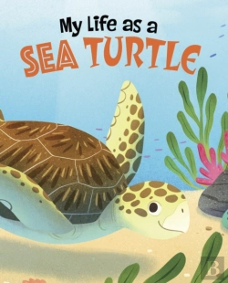 Bertrand.pt - My Life As A Sea Turtle