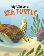 My Life As A Sea Turtle