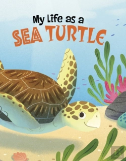 Bertrand.pt - My Life As A Sea Turtle