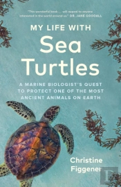 My Life With Sea Turtles
