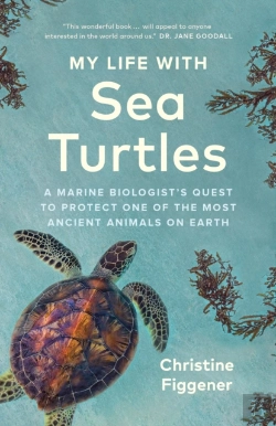Bertrand.pt - My Life With Sea Turtles