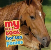 My Little Book Of Horses And Ponies