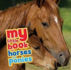 Bertrand.pt - My Little Book Of Horses And Ponies
