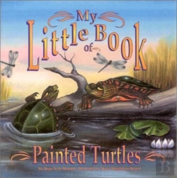Bertrand.pt - My Little Book Of Painted Turtles