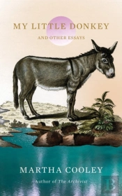 My Little Donkey