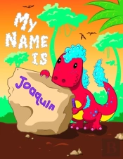 My Name Is Joaquin