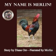My Name Is Merlin