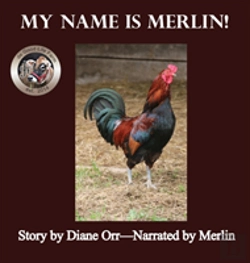 Bertrand.pt - My Name Is Merlin
