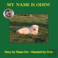 My Name Is Odin