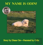 My Name Is Odin