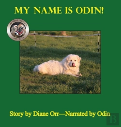 Bertrand.pt - My Name Is Odin