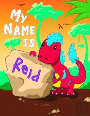 My Name Is Reid