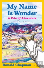 My Name Is Wonder