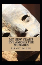 My New Year'S Eve Among The Mummies Illustrated