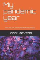 My Pandemic Year