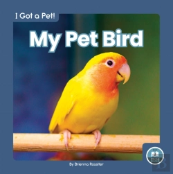 Bertrand.pt - My Pet Bird