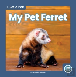 Bertrand.pt - My Pet Ferret