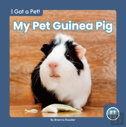 Bertrand.pt - My Pet Guinea Pig