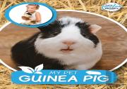 My Pet Guinea Pig