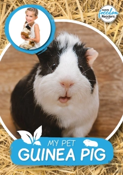 Bertrand.pt - My Pet Guinea Pig