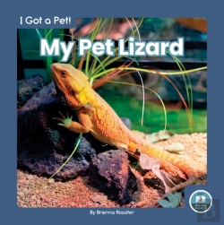 Bertrand.pt - My Pet Lizard