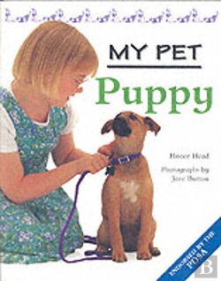 Bertrand.pt - My Pet Puppy