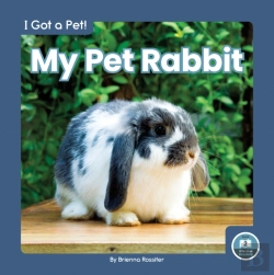 Bertrand.pt - My Pet Rabbit