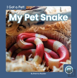 Bertrand.pt - My Pet Snake