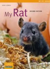My Rat