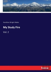 My Study Fire