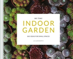 Bertrand.pt - My Tiny Indoor Garden
