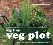 My Tiny Veg Plot