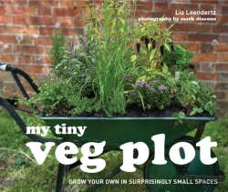 Bertrand.pt - My Tiny Veg Plot