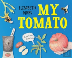 Bertrand.pt - My Tomato