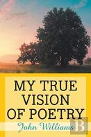 My True Vision Of Poetry