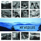 My Wild Life