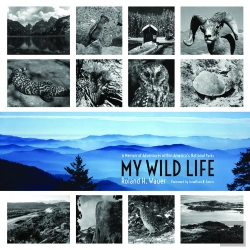 Bertrand.pt - My Wild Life