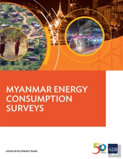Bertrand.pt - Myanmar Energy Consumption Surveys Report