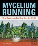 Mycelium Running