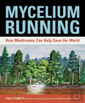 Mycelium Running