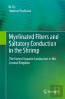 Myelinated Fibers And Saltatory Conduction In The Shrimp