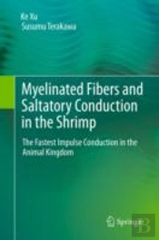 Myelinated Fibers And Saltatory Conduction In The Shrimp