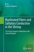Myelinated Fibers And Saltatory Conduction In The Shrimp