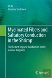 Myelinated Fibers And Saltatory Conduction In The Shrimp