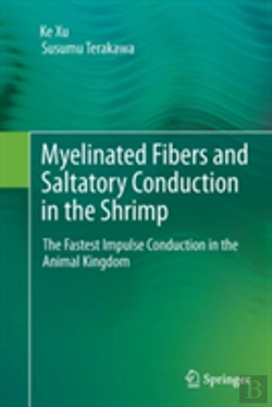 Bertrand.pt - Myelinated Fibers And Saltatory Conduction In The Shrimp