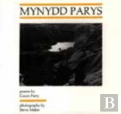 Mynydd Parys